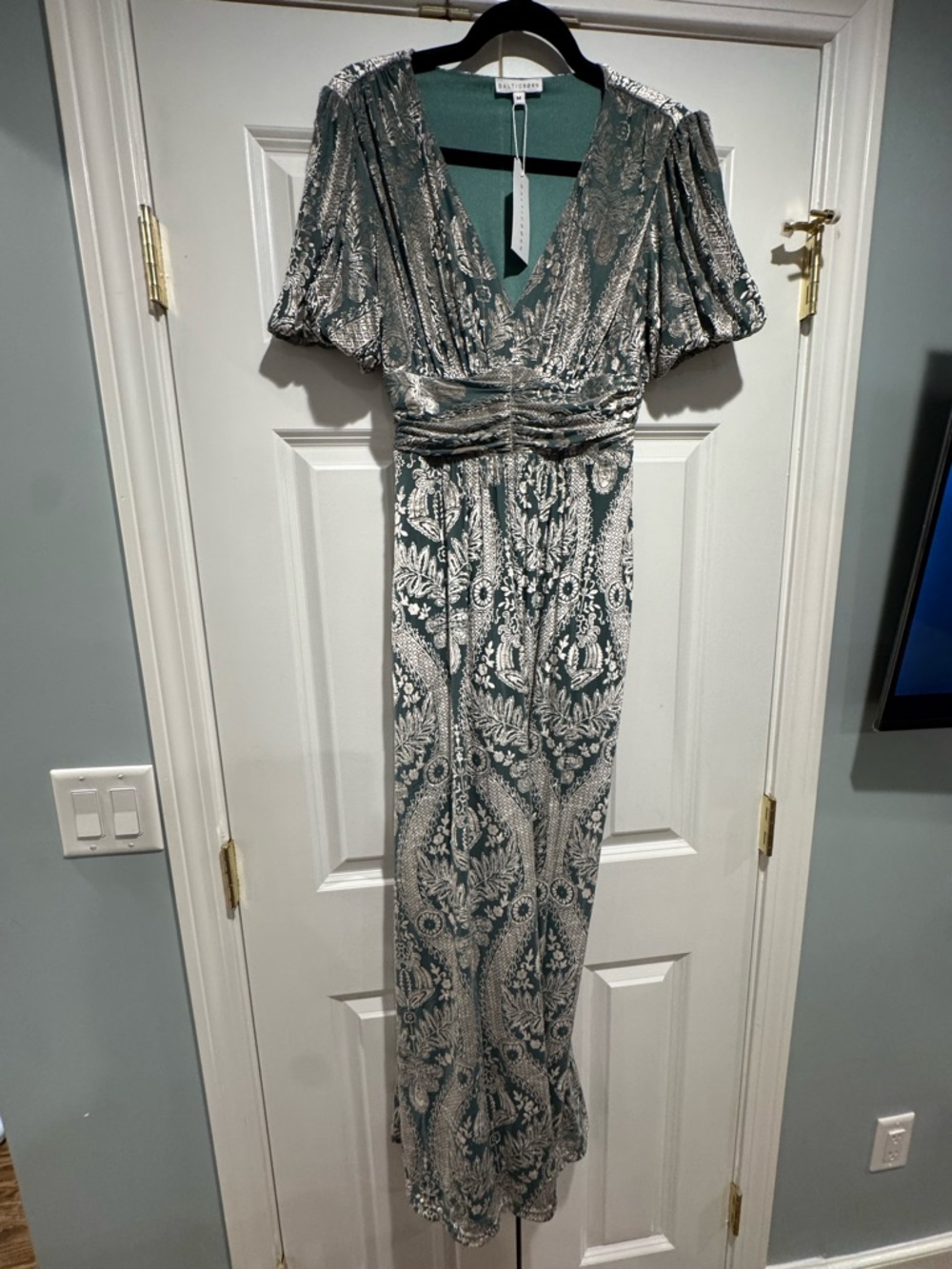 NWT! Baltic Born Leslie Velvet Maxi Dress - Picture 6 of 9